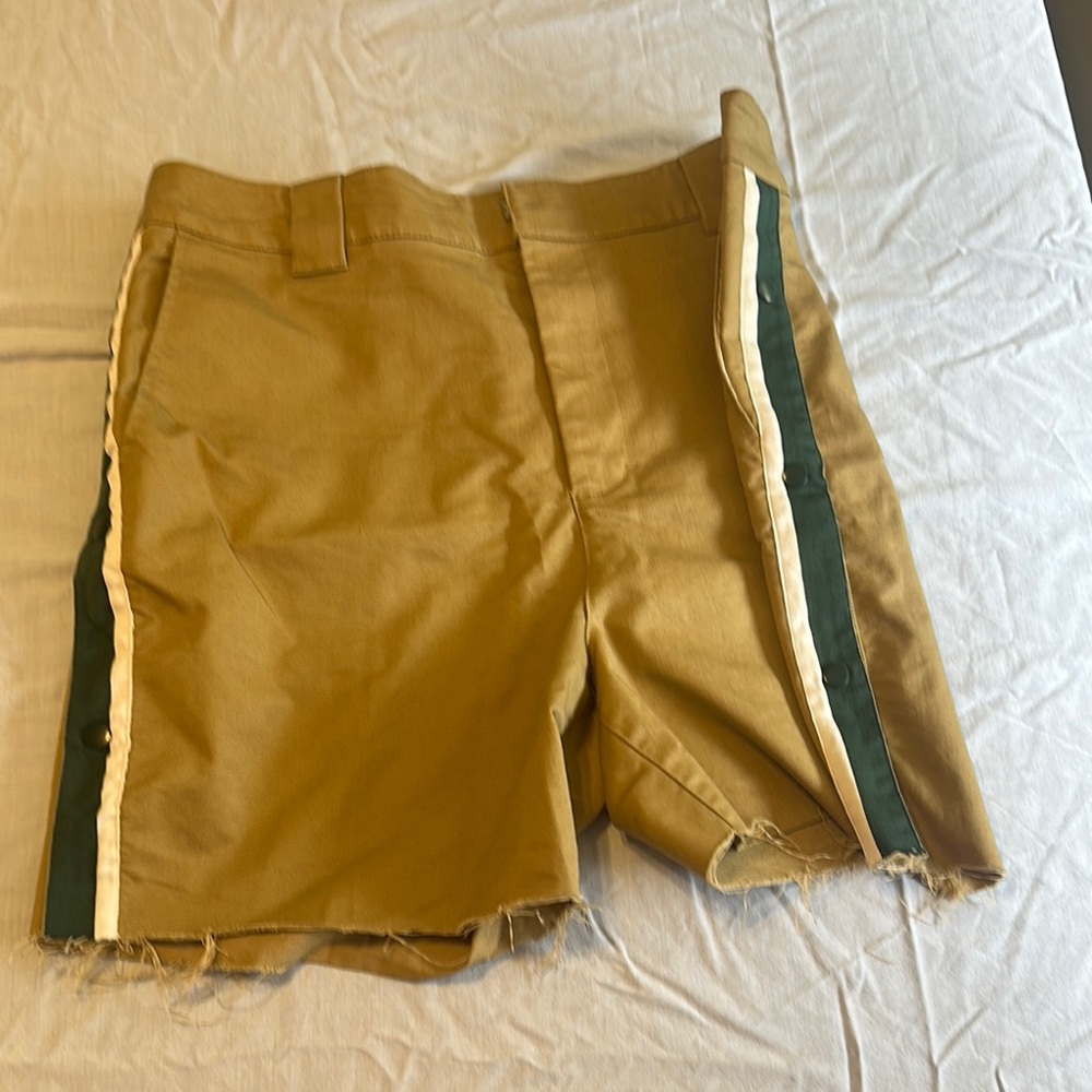 Urban Outfitters Tan Shorts with Green and White Stripes